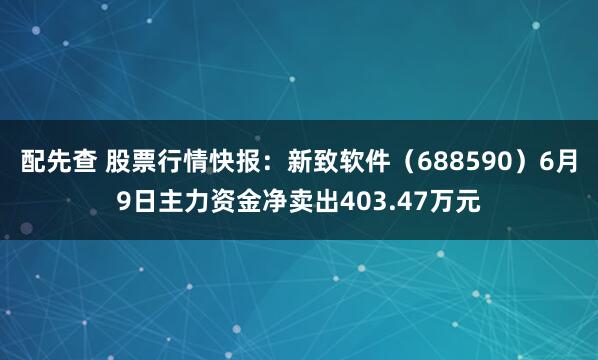 配先查 股票行情快报：新致软件（688590）6月9日主力资金净卖出403.47万元