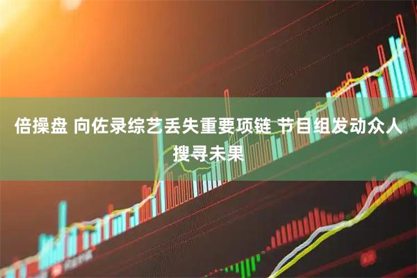 倍操盘 向佐录综艺丢失重要项链 节目组发动众人搜寻未果