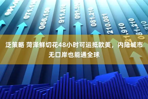 泛策略 菏泽鲜切花48小时可运抵欧美，内陆城市无口岸也能通全球